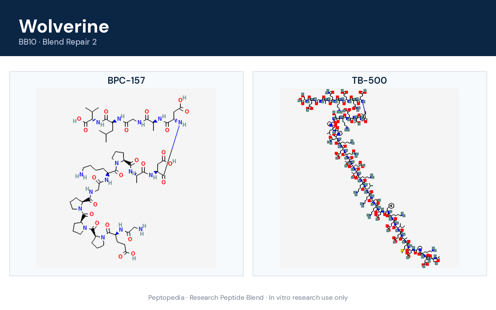 Component structure overview — Wolverine (Blend Repair 2)