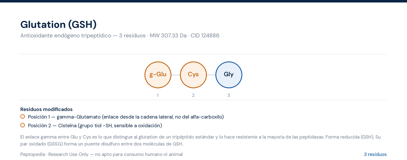 Amino acid sequence diagram — Glutathione